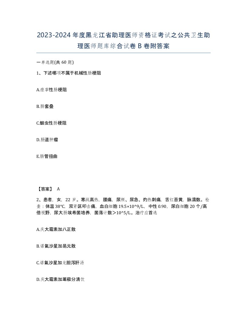 2023-2024年度黑龙江省助理医师资格证考试之公共卫生助理医师题库综合试卷B卷附答案