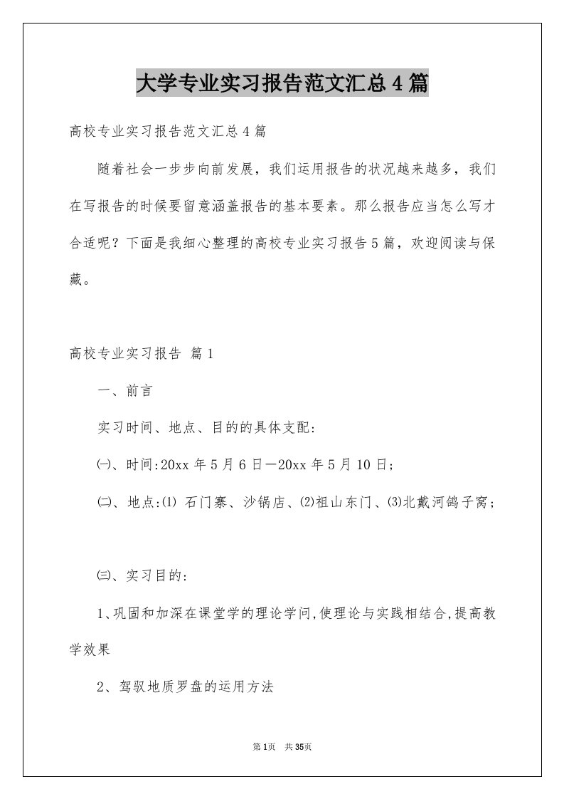 大学专业实习报告范文汇总4篇