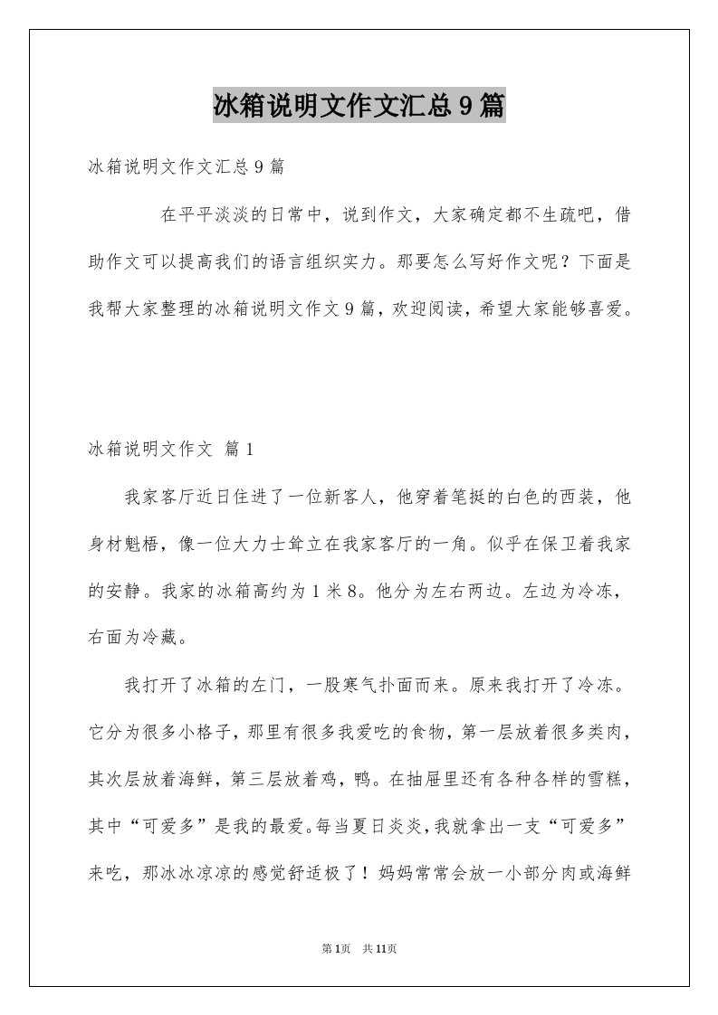 冰箱说明文作文汇总9篇例文