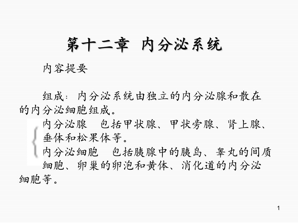 解剖学课件内分泌系统