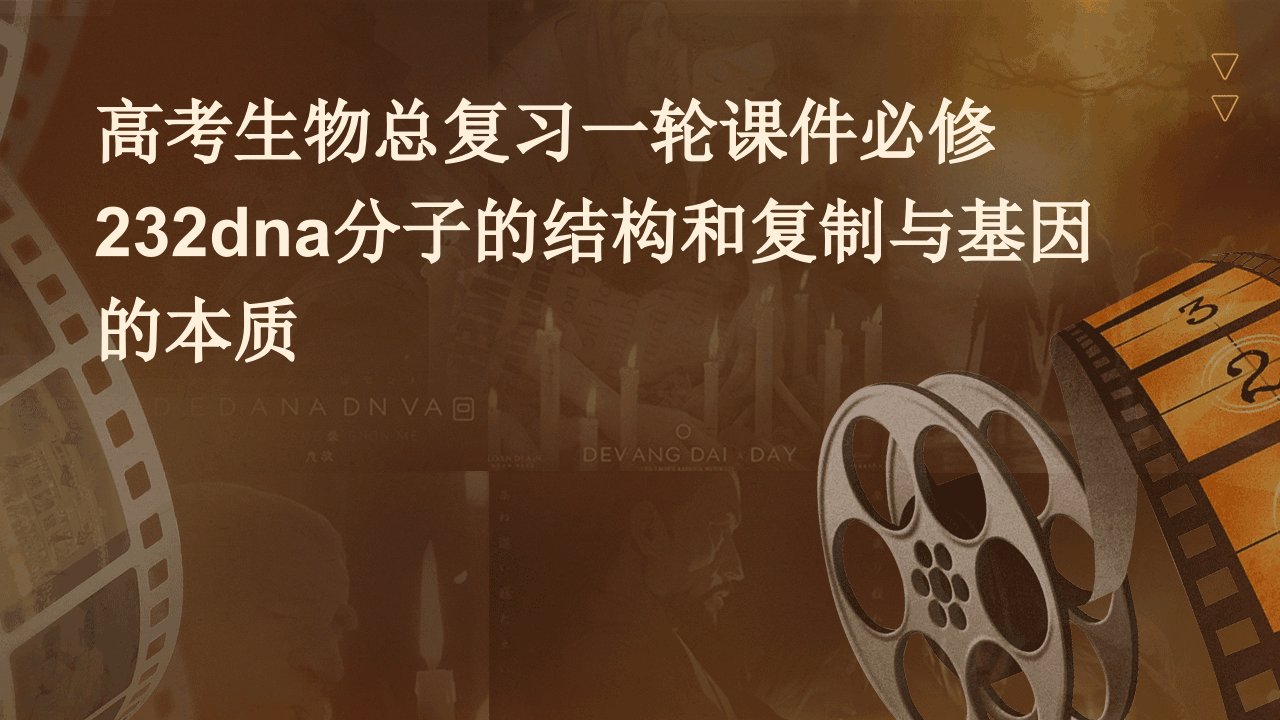 高考生物总复习一轮课件：必修232DNA分子的结构和复制与基因的本质