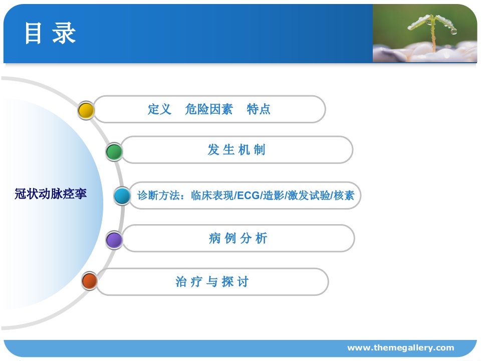 冠状动脉痉挛ppt课件