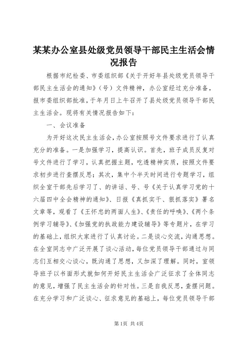 4某某办公室县处级党员领导干部民主生活会情况报告