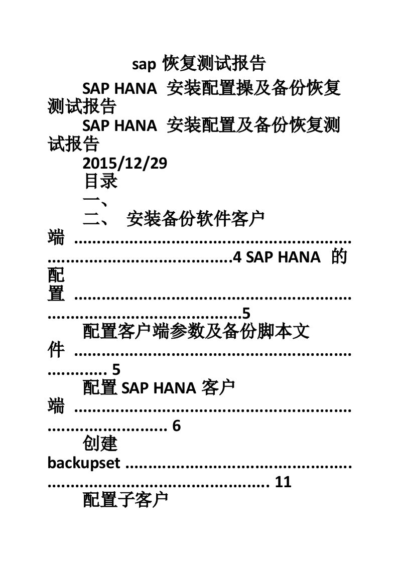 sap恢复测试报告