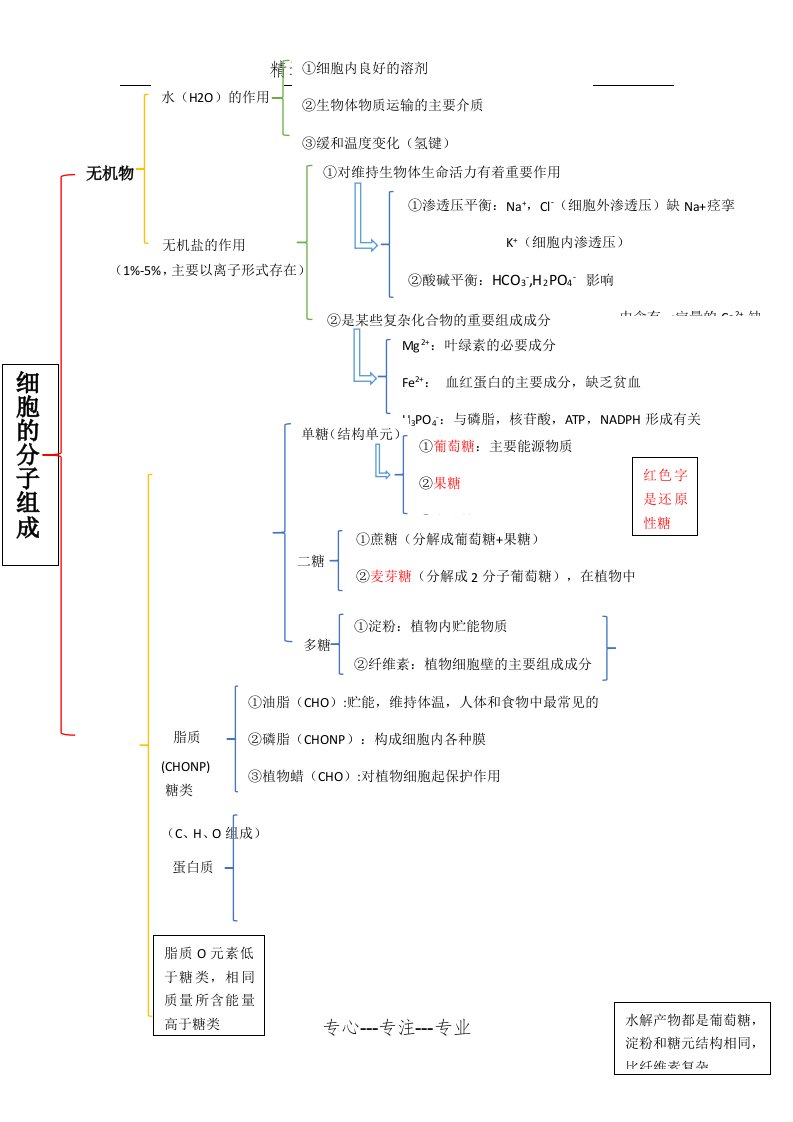 高考生物复习浙科版必修一第一章细胞的分子组成思维导图(共3页)