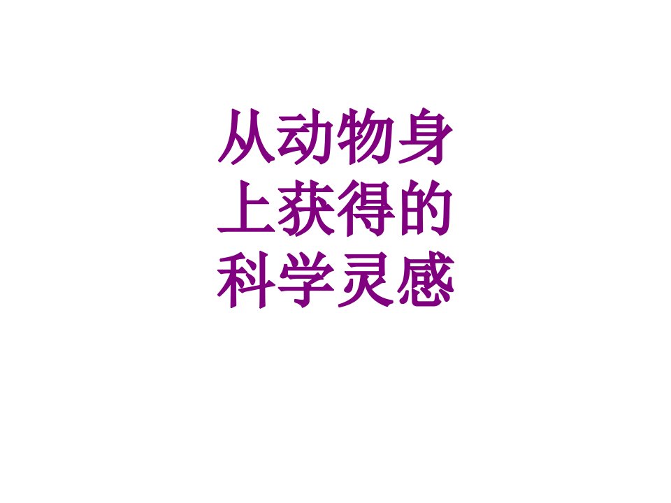 从动物身上获得的科学灵感经典课件