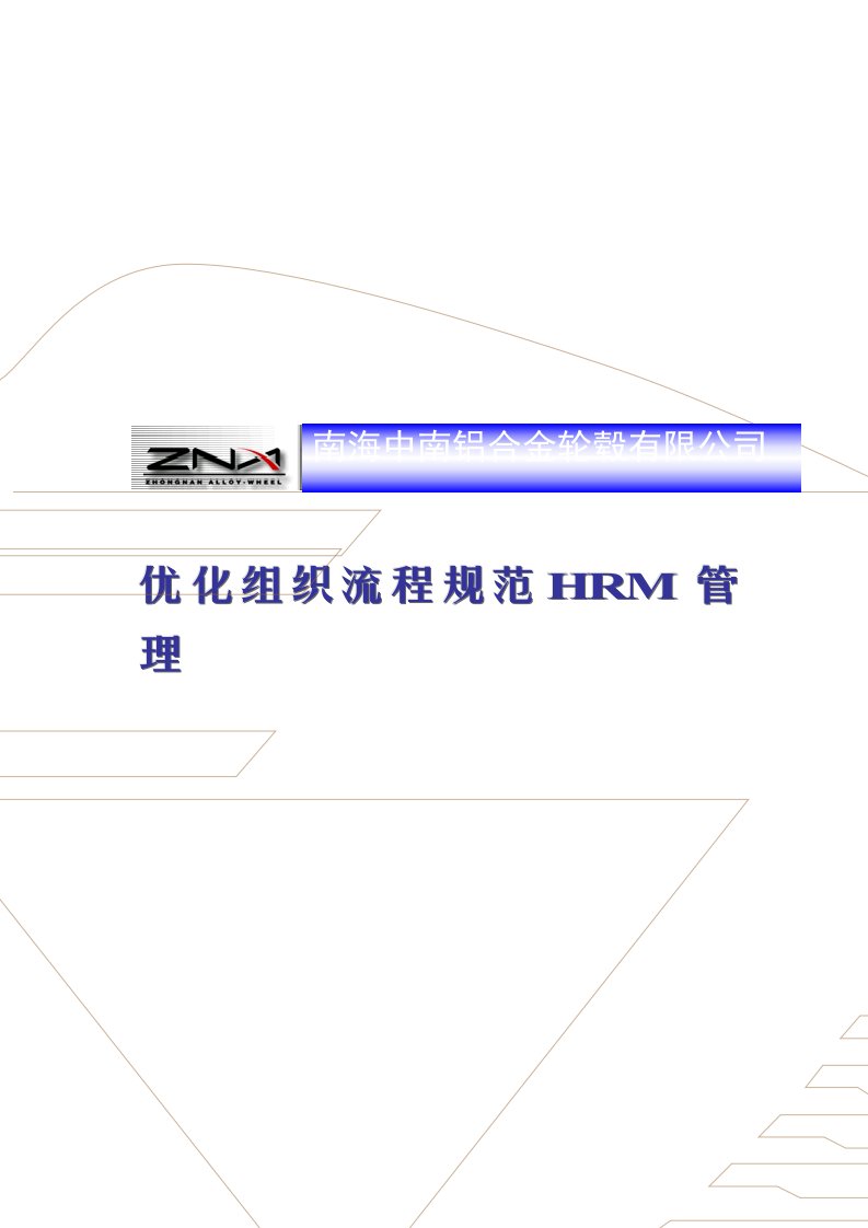 某著名咨询公司-中南轮毂-优化组织流程规范HRM管理方案