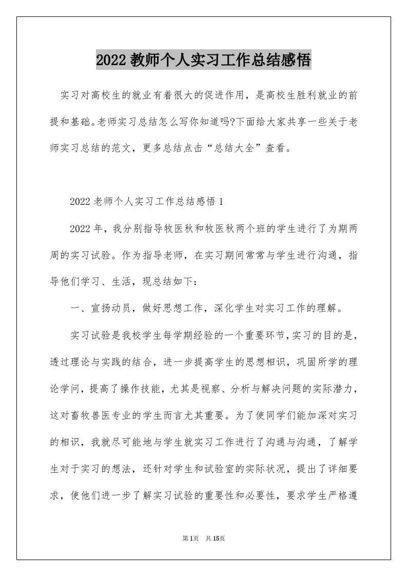 2022教师个人实习工作总结感悟