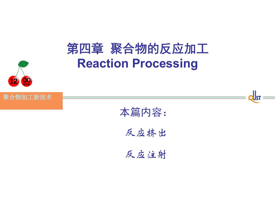 聚合物的反应加工