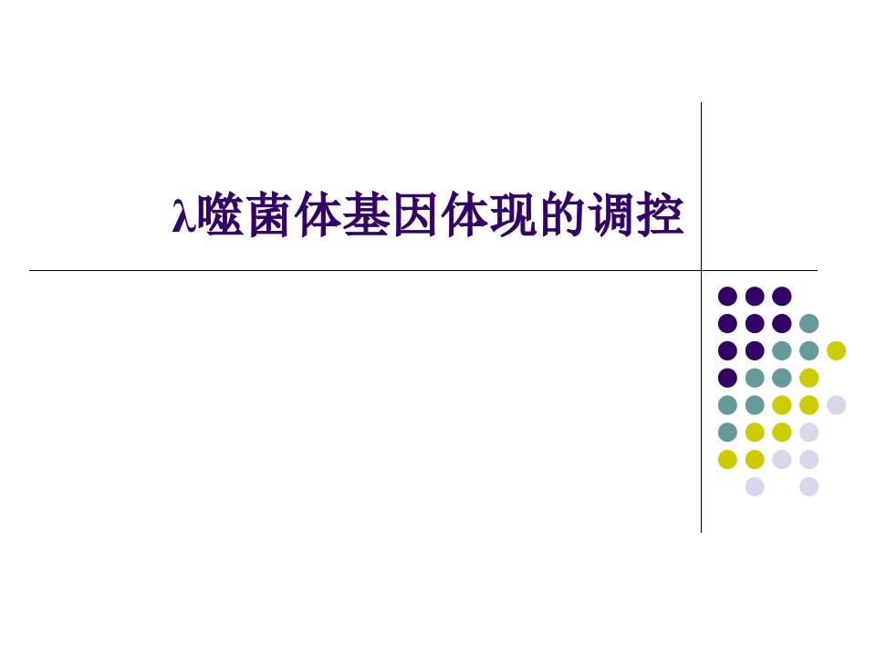 分子生物学课件λ噬菌体基因表达的调控市公开课一等奖市赛课获奖课件