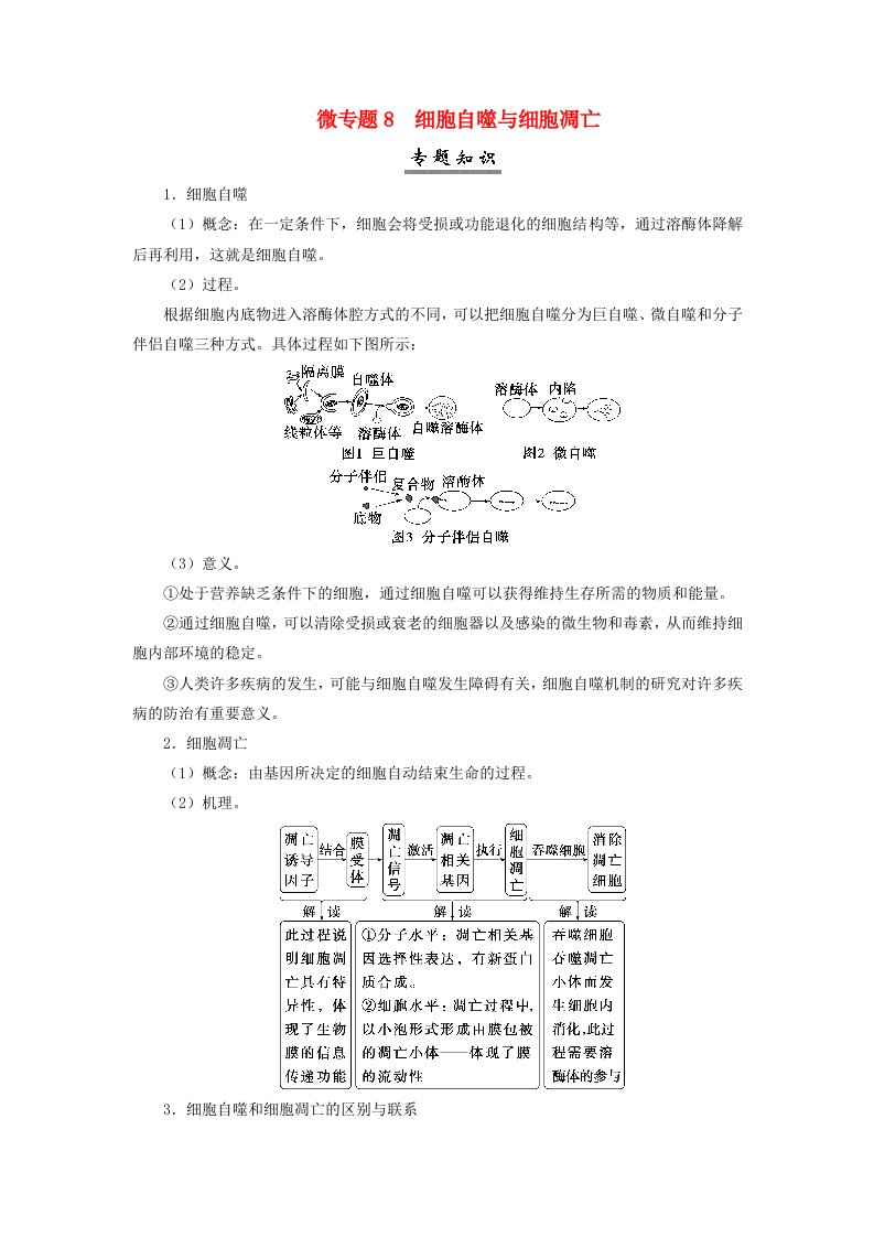 2025届高考生物一轮总复习学生用书必修1第四单元细胞的生命历程微专题8细胞自噬与细胞凋亡