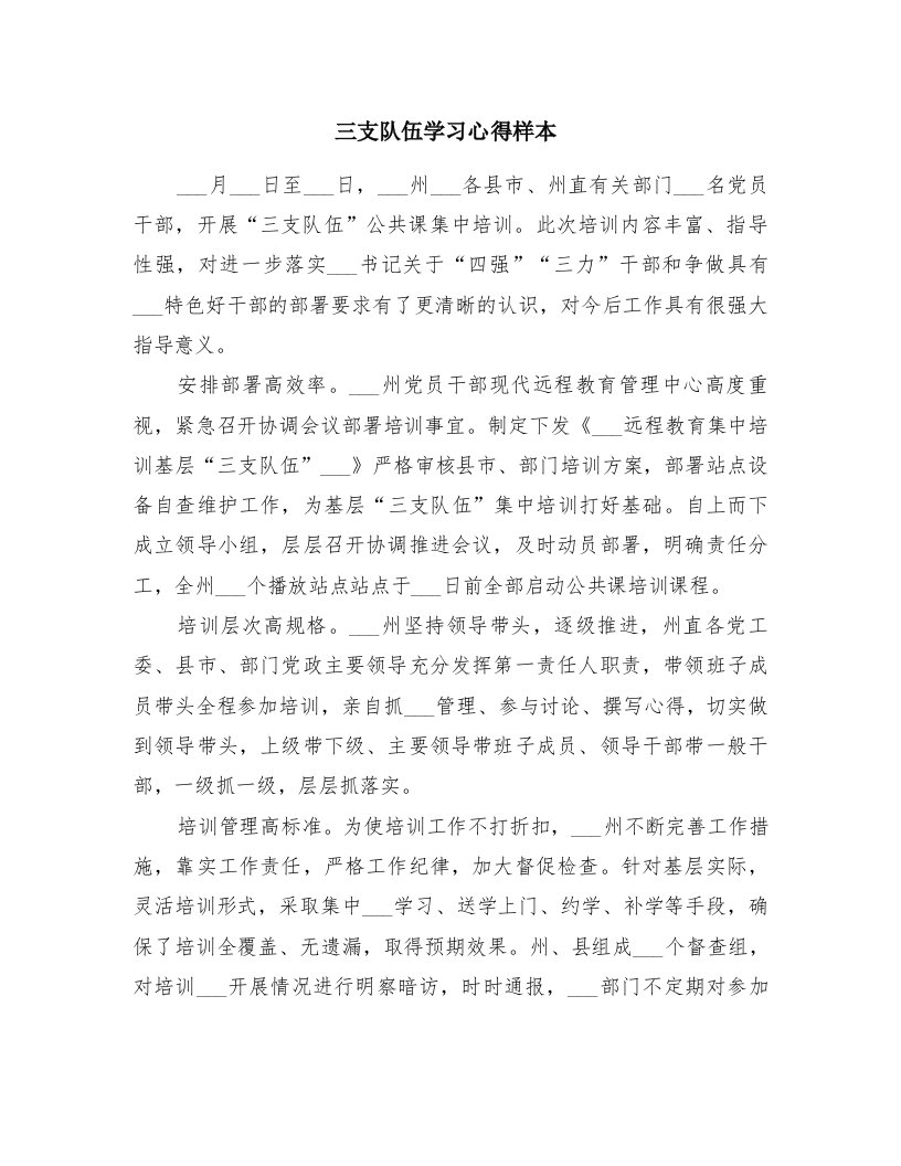 三支队伍学习心得样本