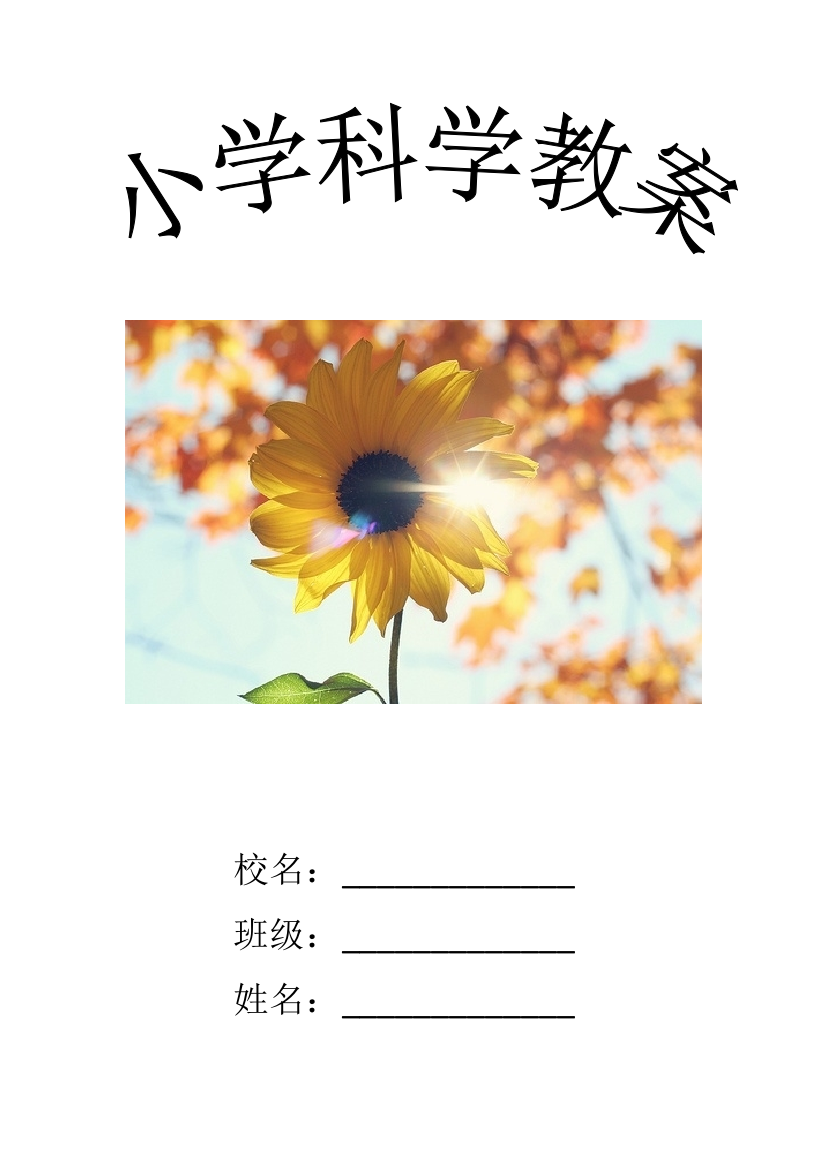 小学科学教案封面