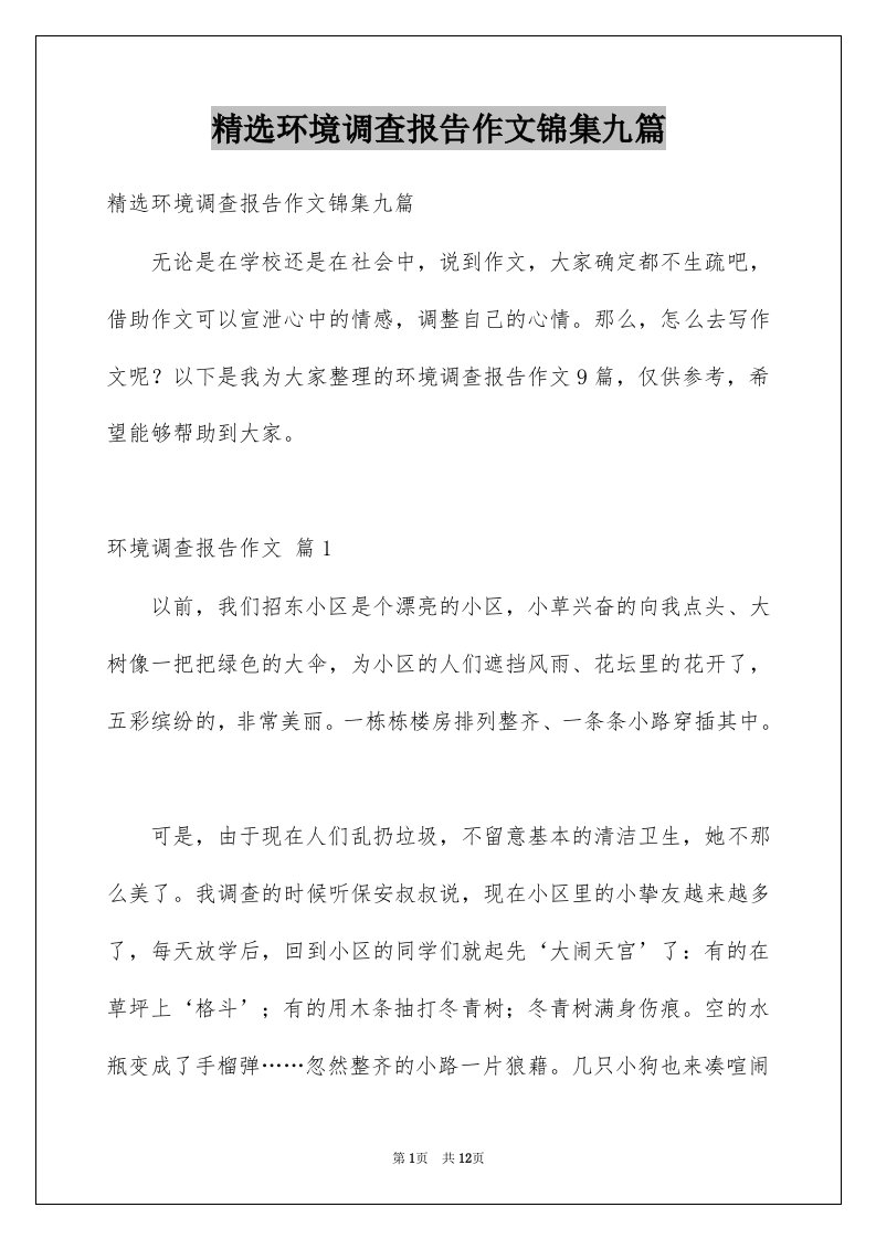 环境调查报告作文锦集九篇例文