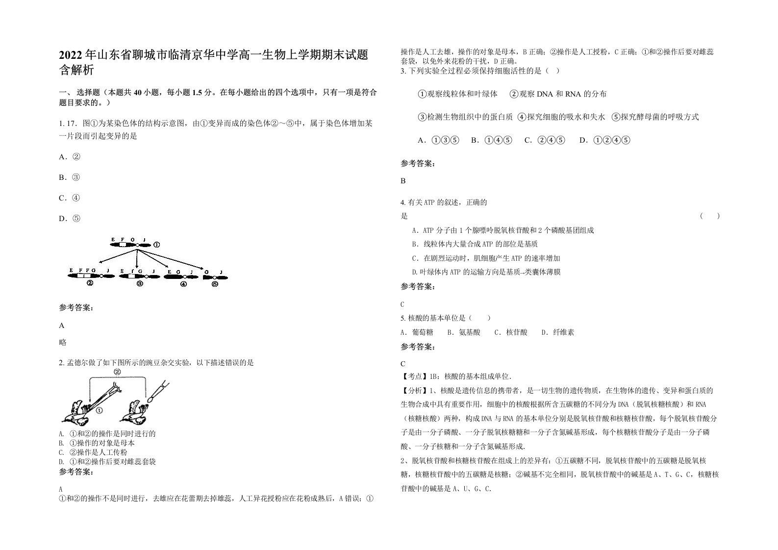 2022年山东省聊城市临清京华中学高一生物上学期期末试题含解析