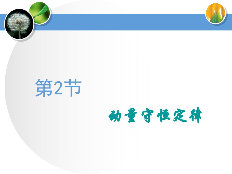 2020届高三物理一轮复习ppt课件：动量守恒定律