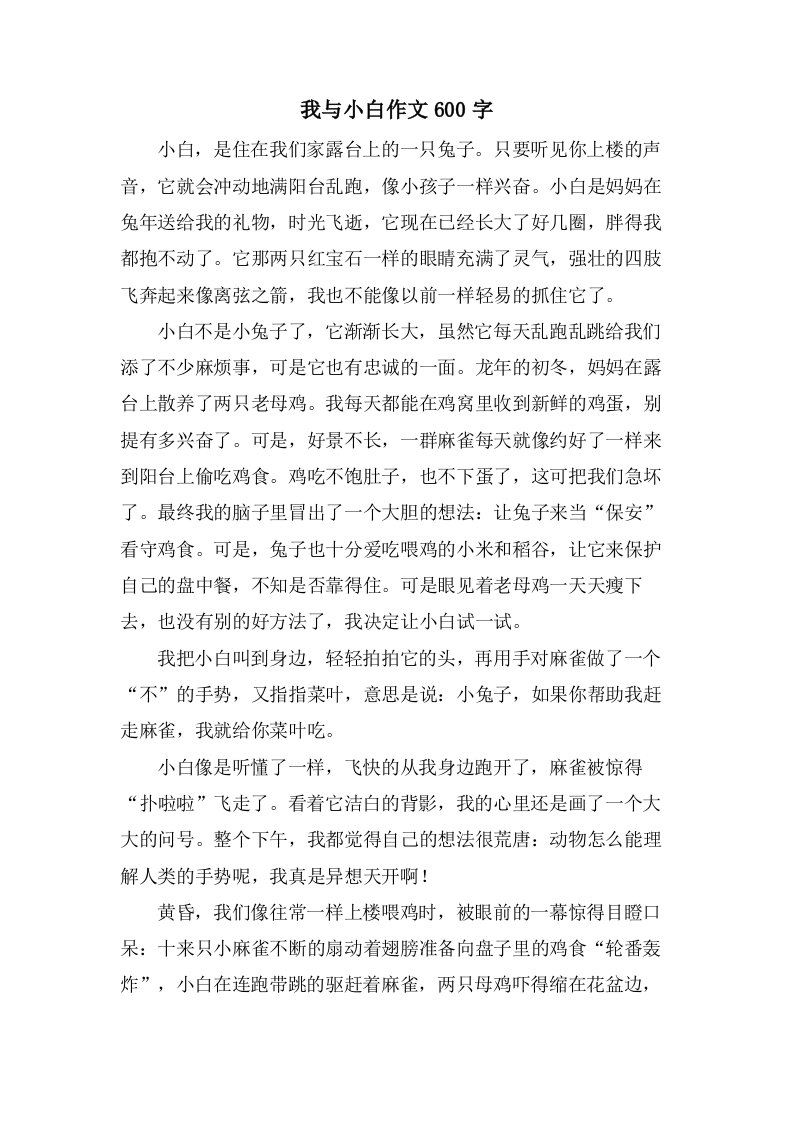 我与小白作文600字