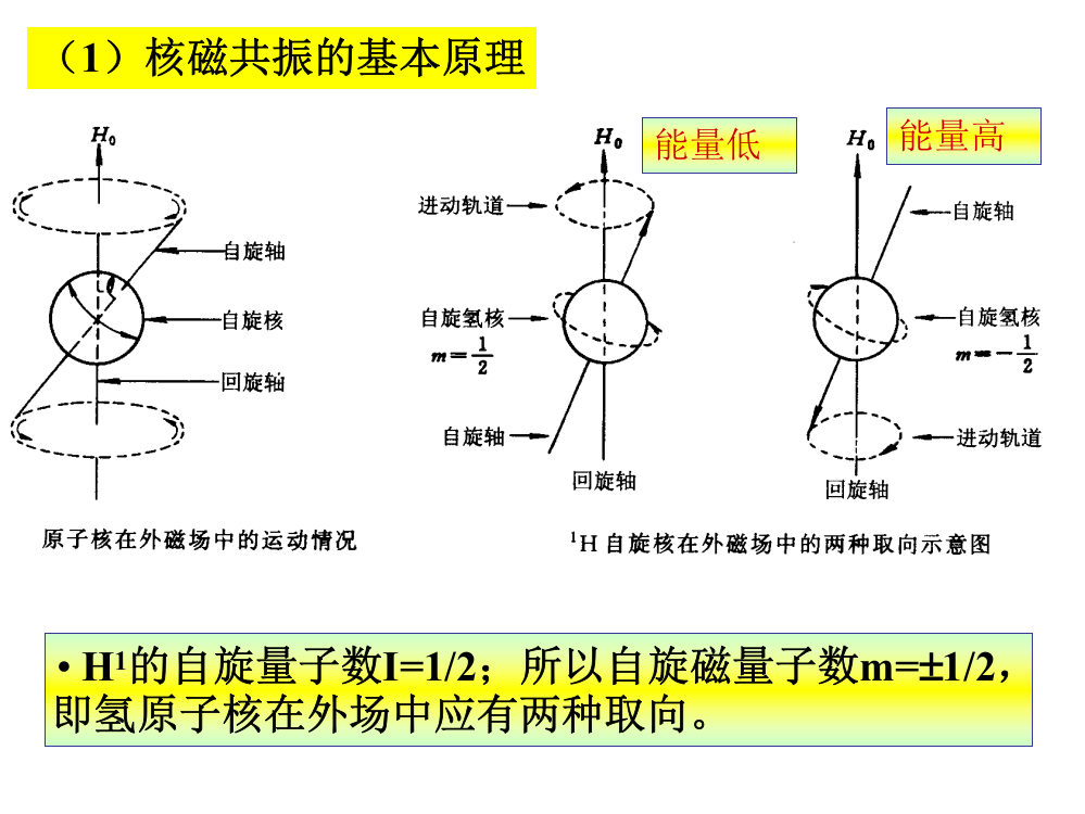 高等教育核磁共振