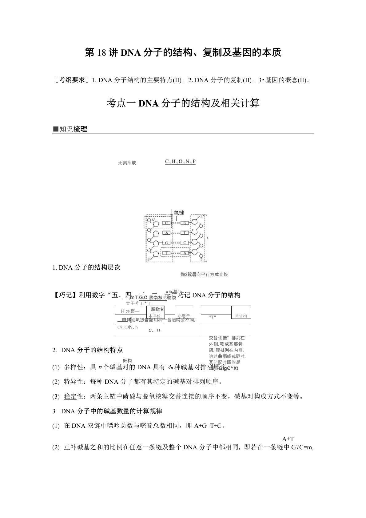 2020高考生物总复习教学案：第18讲DNA分子的结构、复制及基因的本质