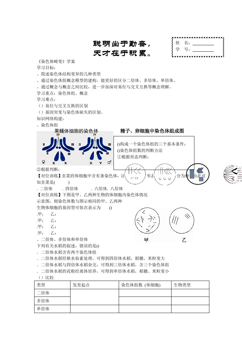 染色体畸变学案