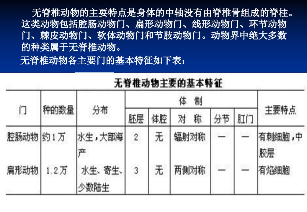 无脊椎动物部分二课件