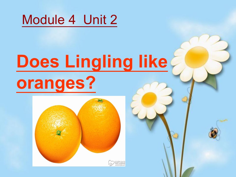 Unit2DoesLinglinglikeorangesppt课件