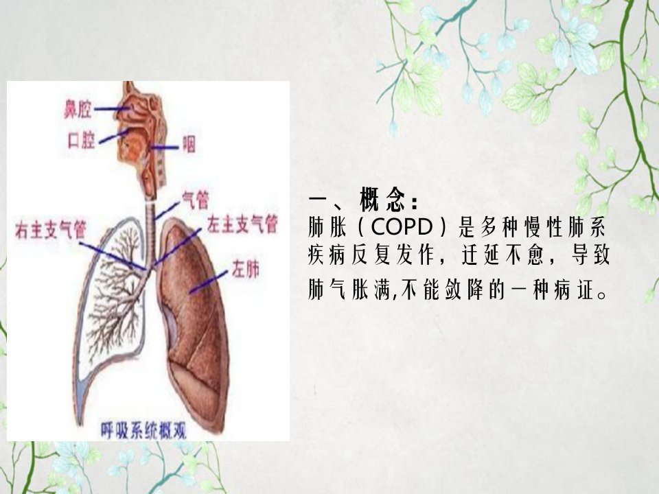 5.肺胀中医护理查房2学时