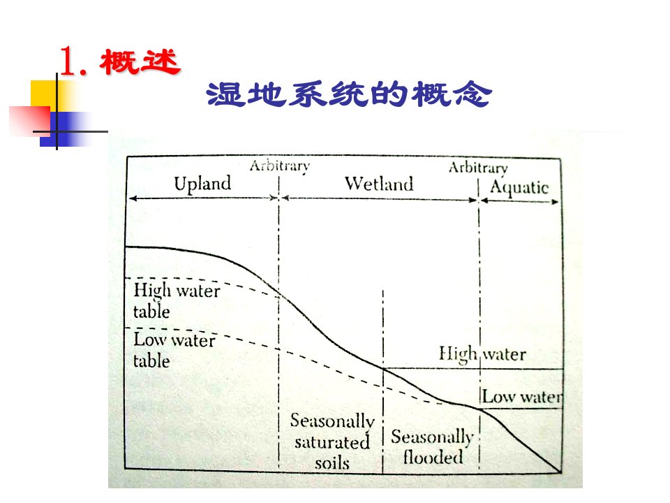 人工湿地解析ppt课件