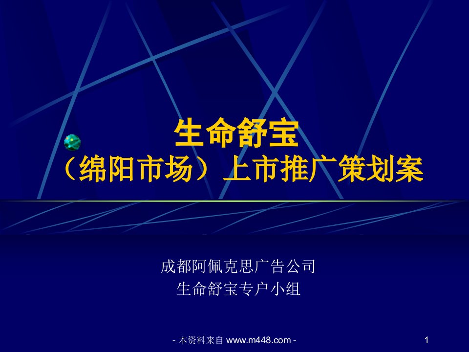 《生命舒宝口服液保健品上市营销策划案》(24页)-医药保健