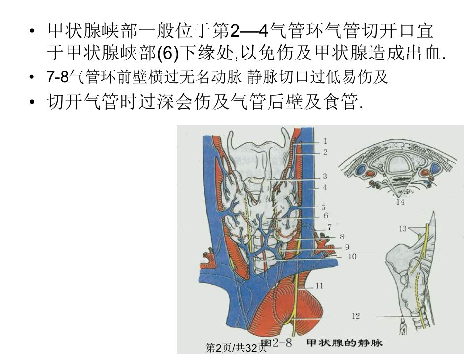 横切口的气管切开术