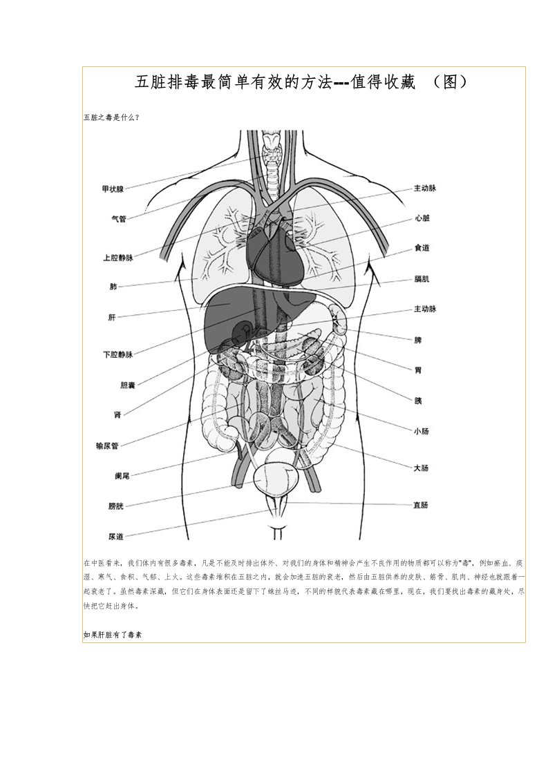 hddAAA五脏排毒最简单有效的方法