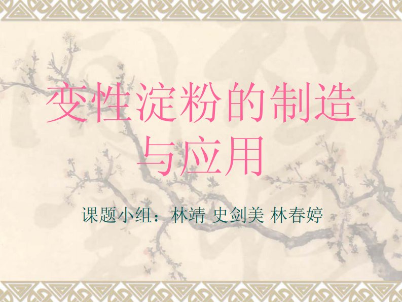 《变性淀粉的制造与应用》.pdf