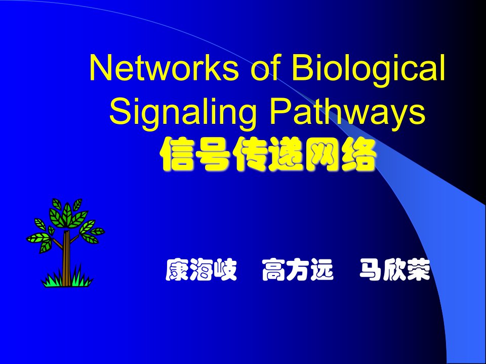 《信号传递网络》PPT课件