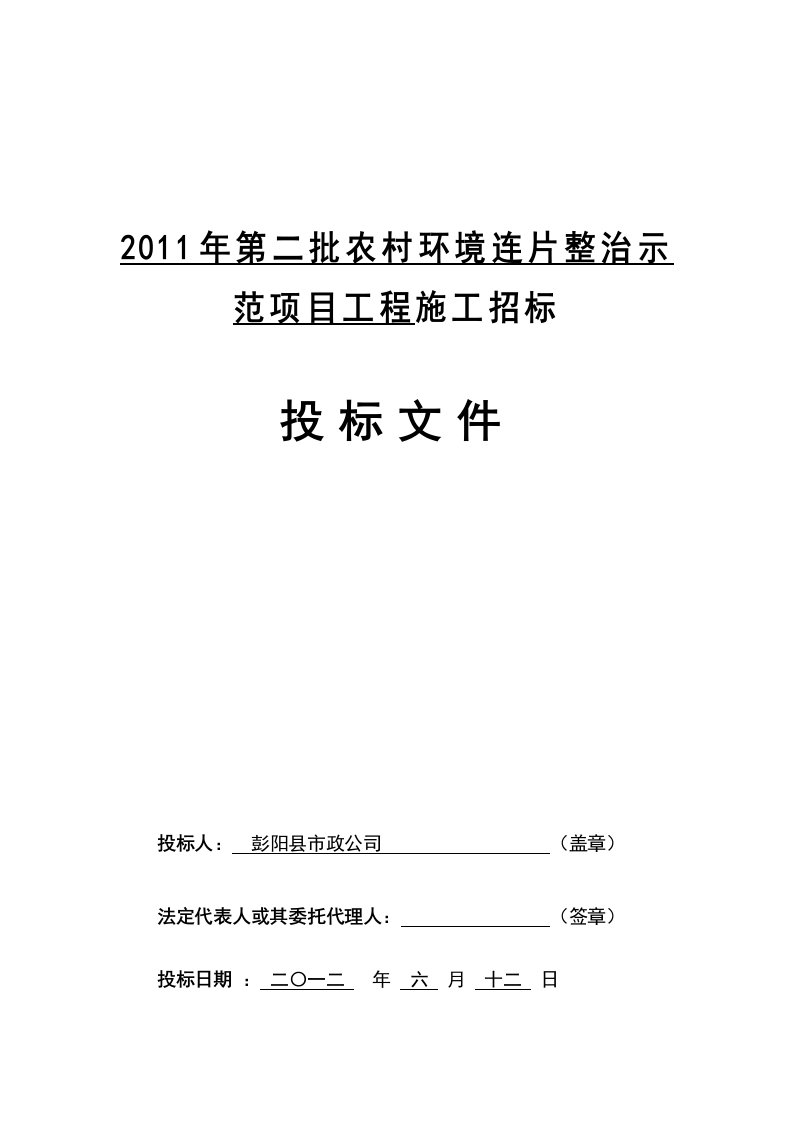 2011年环保市政公司投标文件