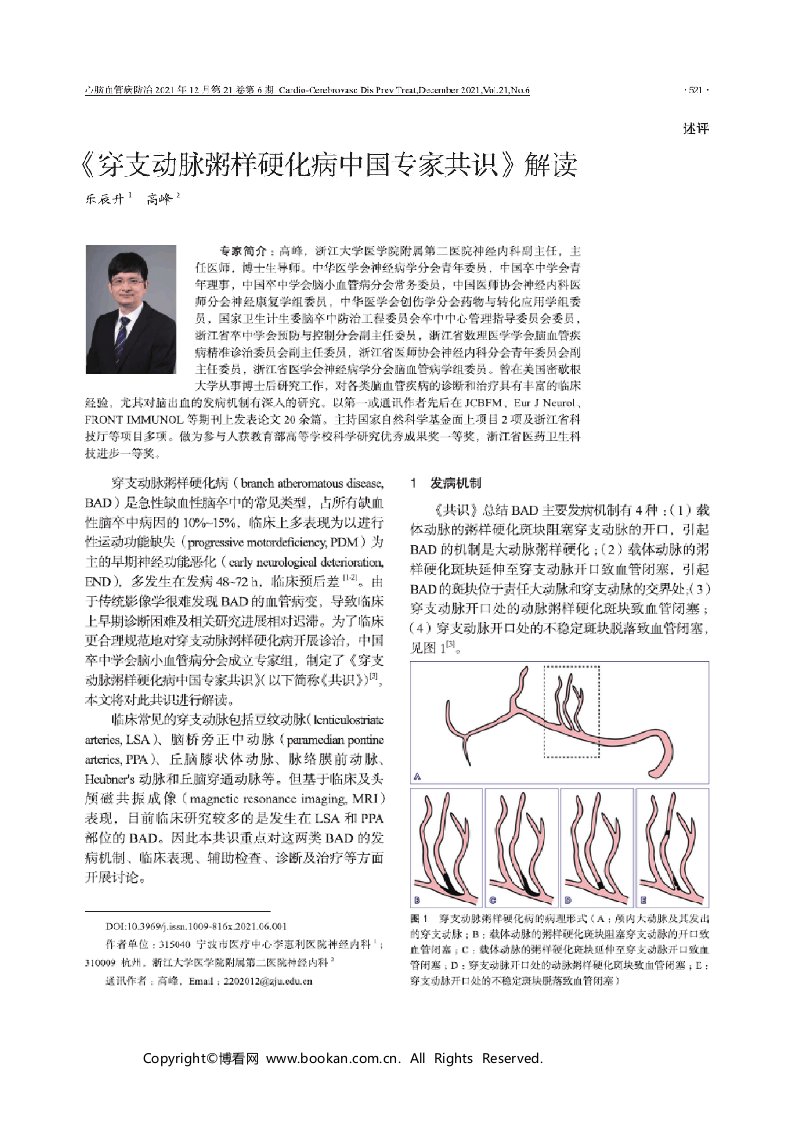 《穿支动脉粥样硬化病中国专家共识》解读