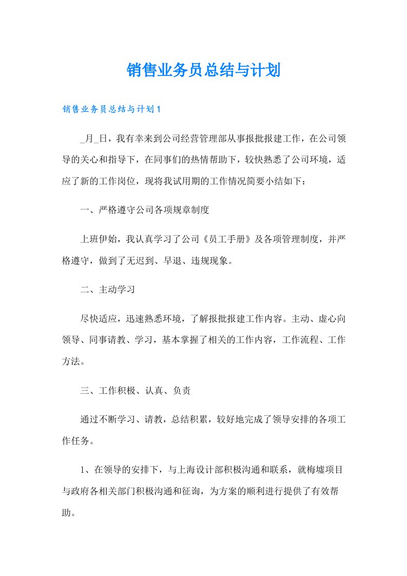 销售业务员总结与计划