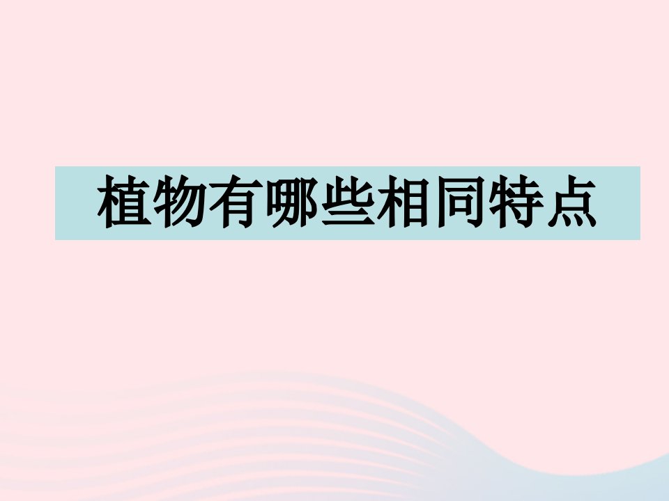 三年级科学上册1.7植物的有哪些共同特点课件3教科版