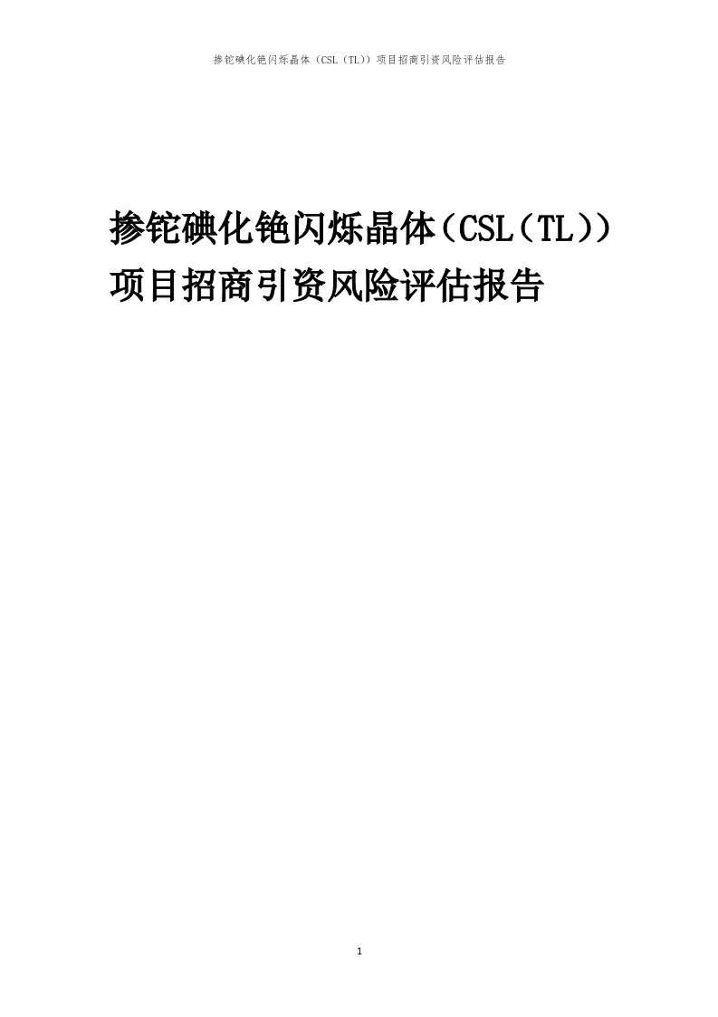 2023年掺铊碘化铯闪烁晶体（CSL（TL））项目招商引资风险评估报告