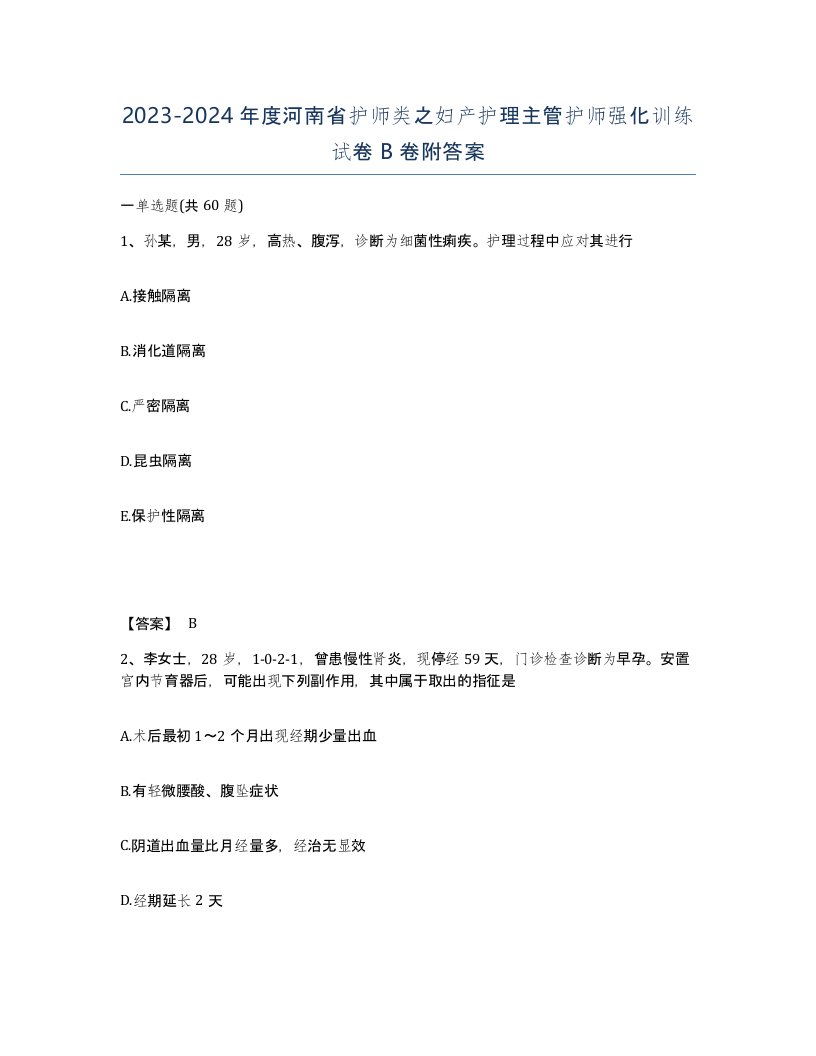 2023-2024年度河南省护师类之妇产护理主管护师强化训练试卷B卷附答案