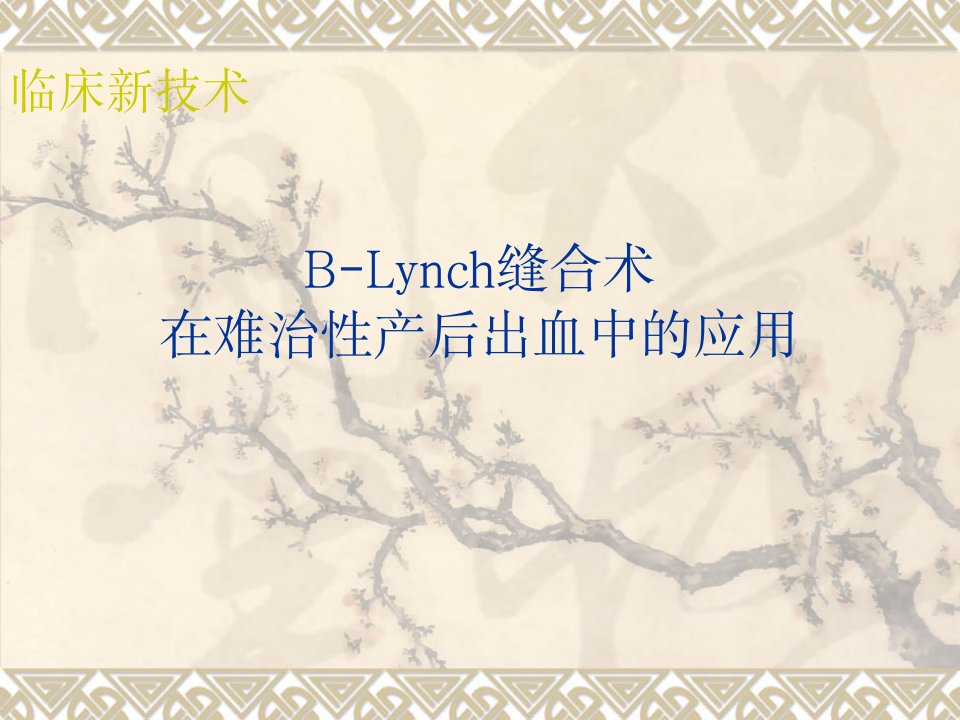 B-Lynch缝合法治疗难治性产后出血PPT课件