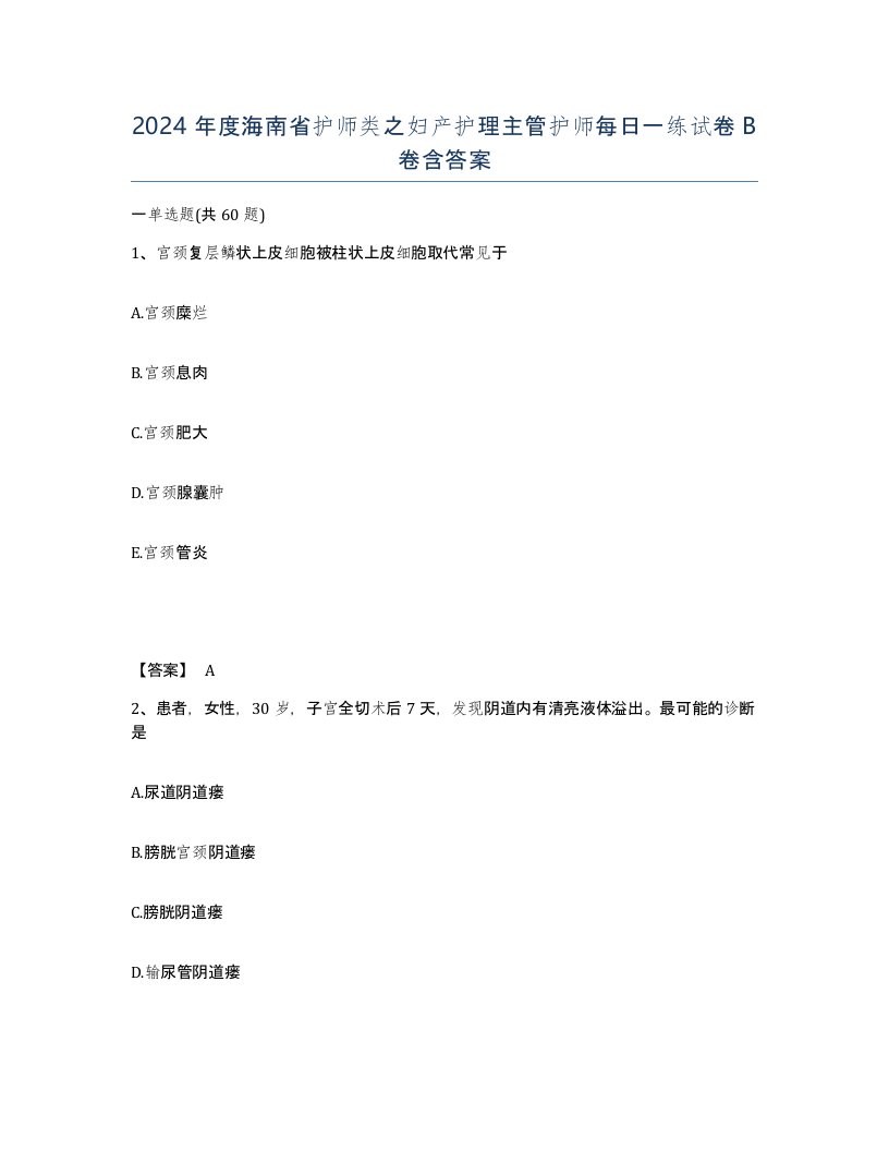 2024年度海南省护师类之妇产护理主管护师每日一练试卷B卷含答案