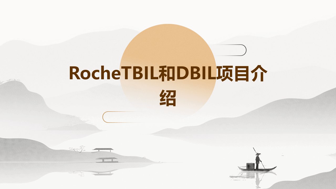 rochetbil和dbil项目介绍