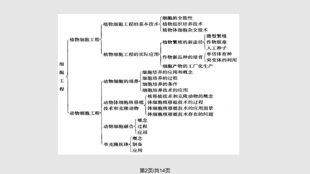 细胞工程13学习