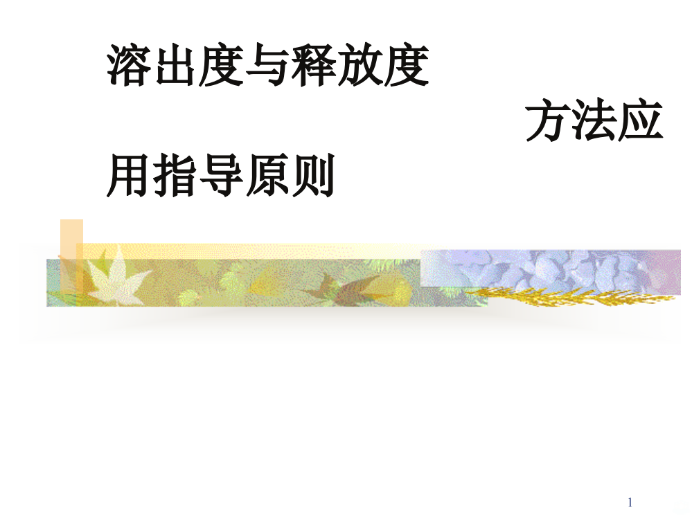 溶出度指导方法PPT课件