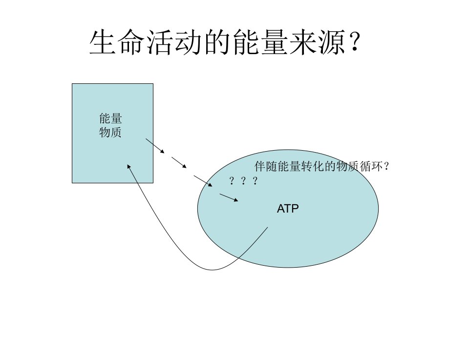 能量与代谢1