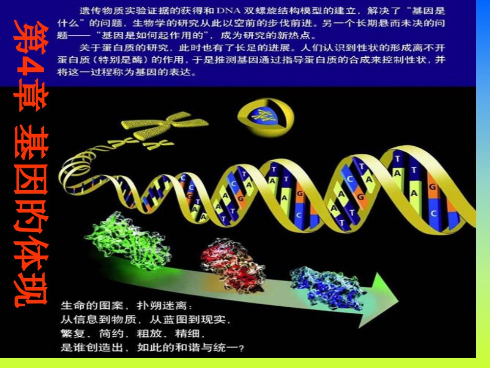 生物41基因指导蛋白质的合成1新人教版必修公开课一等奖市赛课一等奖课件