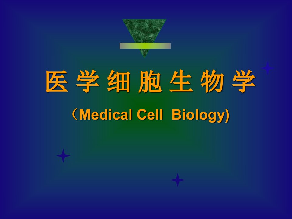 细胞生物学细胞核课堂PPT