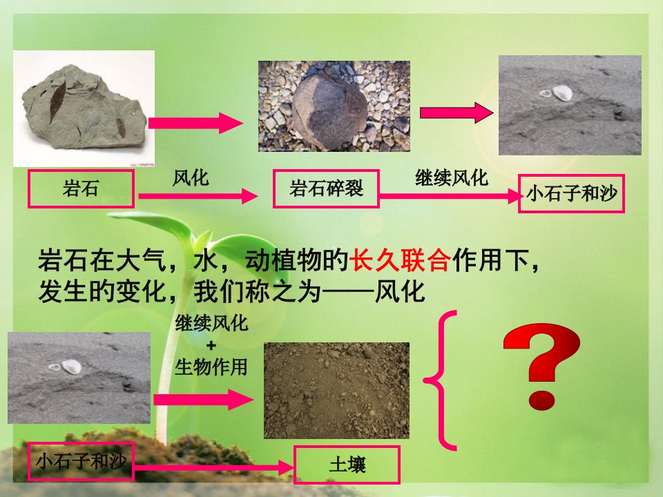 教科版小学科学五年级上册