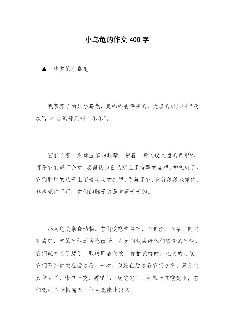 小乌龟的作文400字