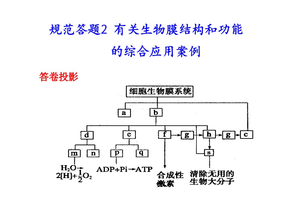 高一生物下册第二单元答题规范1